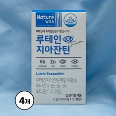 경동 아이루텐 지아잔틴 30캡슐 눈영양제, 4통, 30정