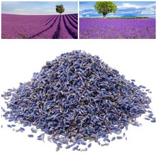 드라이 라벤더 50g 100g 천연 라벤더 꽃 데코 장식 석고방향제 왁스타블렛 포푸리 방향제