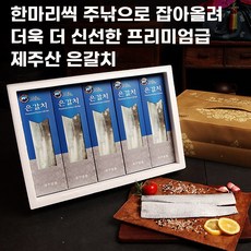제주애명작은갈치
