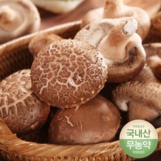 [다유다몰] 무농약 생표고버섯 파지 8kg/10kg 전남 함평 산지직배송, 8kg, 1개