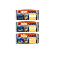 k9뒷좌석모니터가격