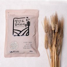 청맥 청산도 국산 컬러보리 500g x 6팩, 6개