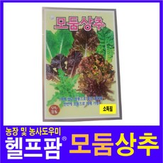 헬프팜 모둠상추 1500립 씨앗 종자 KS종묘, 1개
