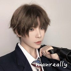 BLAVALLEY 남자가발 멋진 짧은 생머리 패션 통가발G12, 사진색