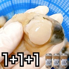 홍가리비 순살 가리비 제철, 1개, 400g+400g+400g