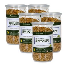 새싹보리씨앗(고급밀폐용기) 450g 1~5개, 5개, 5개