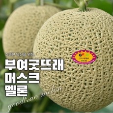 부여굿뜨래멜론(상생) 특등급! 사이즈&가격비교 필수!부여농협 굿뜨래 멜론 8kg(4수), 1