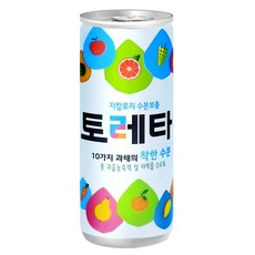 토레타 이온음료 캔, 240ml, 60개