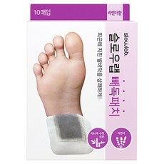 슬로우랩종아리