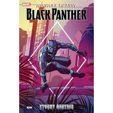 Marvel Action:Black Panther: Stormy Weather (Book One), IDW Publishing, English, 9781684055173
