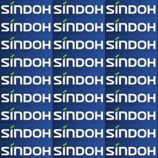 신도리코칼라복사기