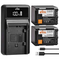 BP-820 배터리 and 충전기 캐논 VIXIA HF G60 HF G50 XA40 XA45 XA50 XA55 G, 상세내용참조