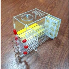배추흰나비애벌레
