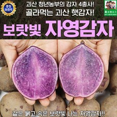 괴산 자영감자 3kg 사이즈랜덤 90g 이상, 1개