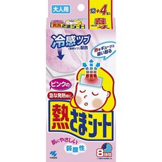 코바야시어른용