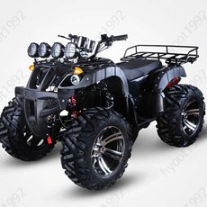 사륜바이크 250cc 버기카 구동 버전 산악 사륜 레저 4륜 네발 바이크, I_200cc 컴포트 타입