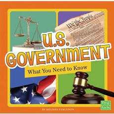 U.S. Government: What You Need to Know Paperback, Capstone Press