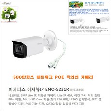 아파트 관리사무소 통제실(이지피스 이지뷰IP ERN-3254H+4TB HDD)외 추가상품, 이지피스 이지뷰IP ENO-5231R-3.6mm, 1개