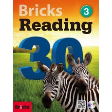 브릭스 리딩 Bricks Reading 30 3, Bricks 편집부(저), 사회평론