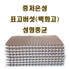 표고버섯종균