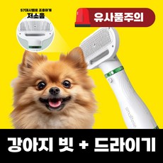 스몰티즈 펫드라이기 저소음 온도조절 브러쉬, 1개, 퓨어그린 - 스몰티즈