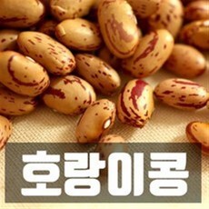 콩게미택배