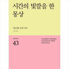 시간의빛깔을한몽상