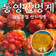 멍게껍질