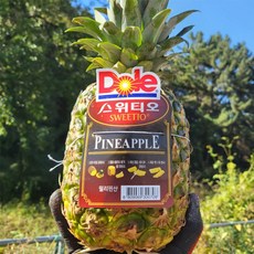 Dole 스위티오 파인애플, 6개