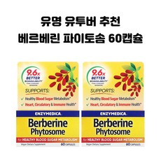 Enzymedica 엔자이메디카 베르베린 파이토솜 캡슐 60개 X2개 약들약 고약사, 2병, 60캡슐