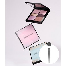 정샘물 아티스트 아이 팔레트 +섀도우 브러쉬