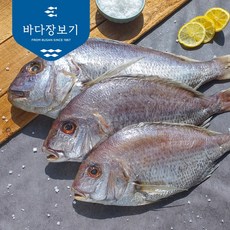 바다장보기 손질 반건조 제수용 국내산 참돔, 1개, 0.72kg내외,대(1미38cm)
