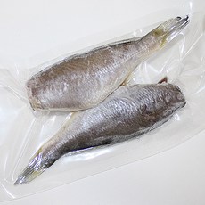 반건조두절파조기