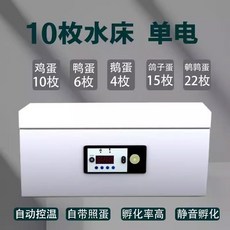 64란 10/UHSI 대학생 기가 카드 듀오 64A 컴팩트플래시 SD cartao, 업그레이드 폼 시트 10매, 10개