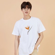 티커스텀바리우스6