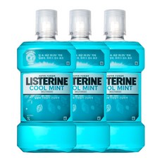 리스테린 쿨민트 구강청결제