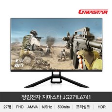 정림전자모니터