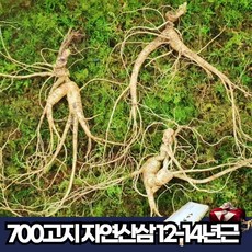 20년산삼가격