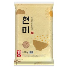 트레이더스갈치