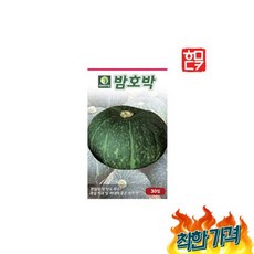 채소 밤호박 립 근채류 야채 소포장, 채소씨앗 밤호박 30립 근채류씨앗 야채 소포장