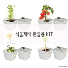 cb0375f9ecd722aed9cb317dc33d1fdf1e7851441e6234bdebde900defcc.png
