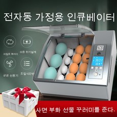 그린부화기