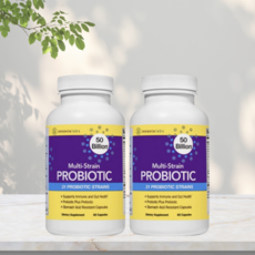 이노빅스랩스 다중 균주 31종 프로바이오틱스 500억 내산성 캡슐 60정 프로바이오틱 수량확인필수!!, 2개