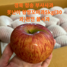 새콤달콤아삭꿀사과 TOP01