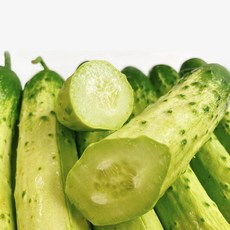 얌팜 국내산 백오이 1kg 3kg 5kg 10kg 수분가득 특품 백다다기오이 지오이