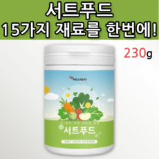 칠레의밤