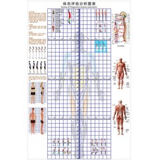 자세평가블라인드