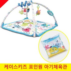 케이스키즈아기체육관