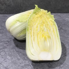 쿡네이처 알배기 쌈배추(3통 5통), 3통