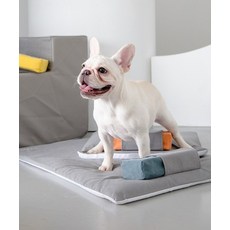 고밀도메모리폼